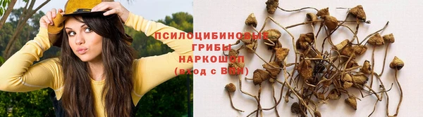 гашиш Абаза