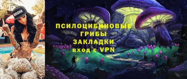 гидропоника Алзамай