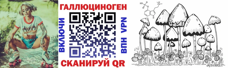 купить наркотики цена  Элиста  Галлюциногенные грибы Magic Shrooms 