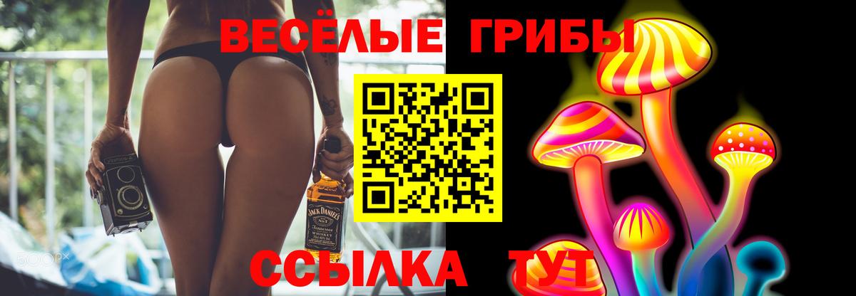 Элиста  Псилоцибиновые грибы мухоморы  Псилоцибиновые грибы мицелий  Вход с VPN 